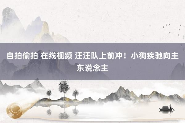 自拍偷拍 在线视频 汪汪队上前冲！小狗疾驰向主东说念主