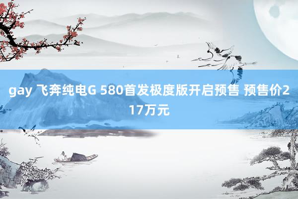 gay 飞奔纯电G 580首发极度版开启预售 预售价217万元