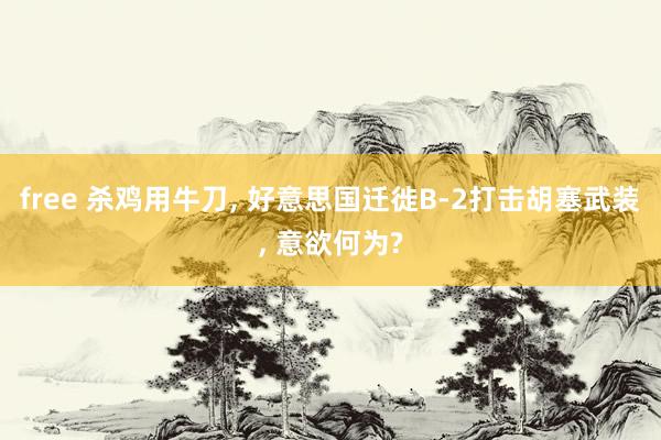 free 杀鸡用牛刀， 好意思国迁徙B-2打击胡塞武装， 意欲何为?