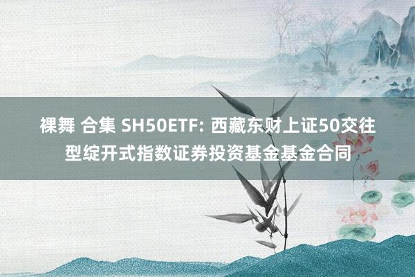 裸舞 合集 SH50ETF: 西藏东财上证50交往型绽开式指数证券投资基金基金合同