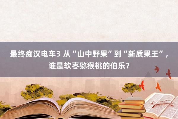 最终痴汉电车3 从“山中野果”到“新质果王”，谁是软枣猕猴桃的伯乐？