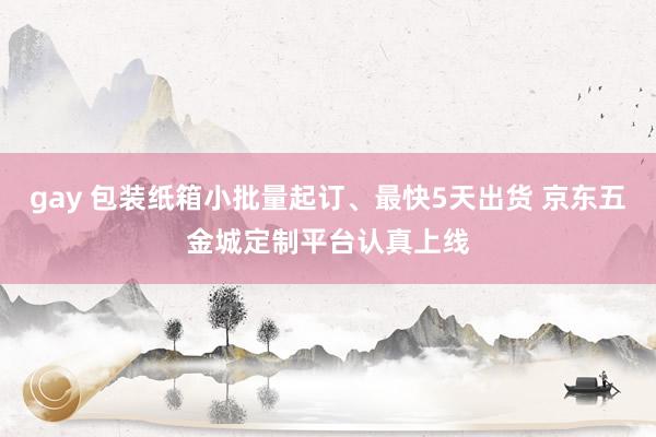 gay 包装纸箱小批量起订、最快5天出货 京东五金城定制平台认真上线