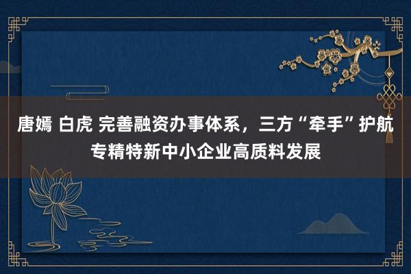 唐嫣 白虎 完善融资办事体系，三方“牵手”护航专精特新中小企业高质料发展