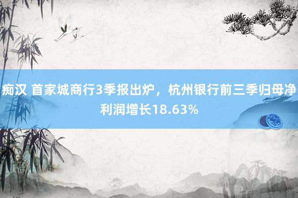 痴汉 首家城商行3季报出炉，杭州银行前三季归母净利润增长18.63%