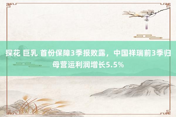 探花 巨乳 首份保障3季报败露，中国祥瑞前3季归母营运利润增长5.5%