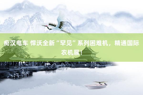 痴汉电车 悍沃全新“罕见”系列困难机，精通国际农机展！