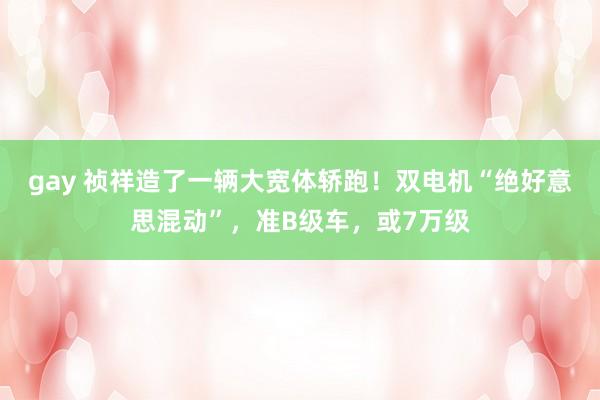 gay 祯祥造了一辆大宽体轿跑！双电机“绝好意思混动”，准B级车，或7万级