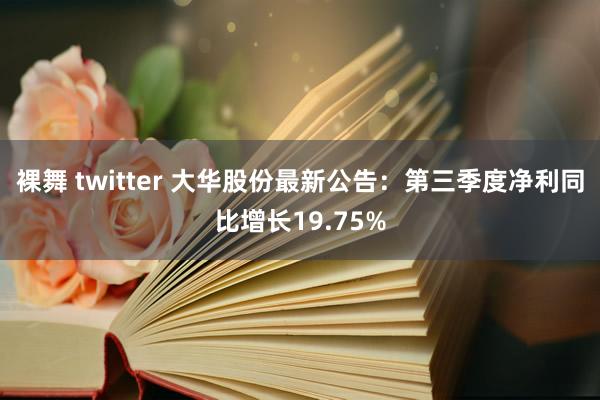裸舞 twitter 大华股份最新公告：第三季度净利同比增长19.75%