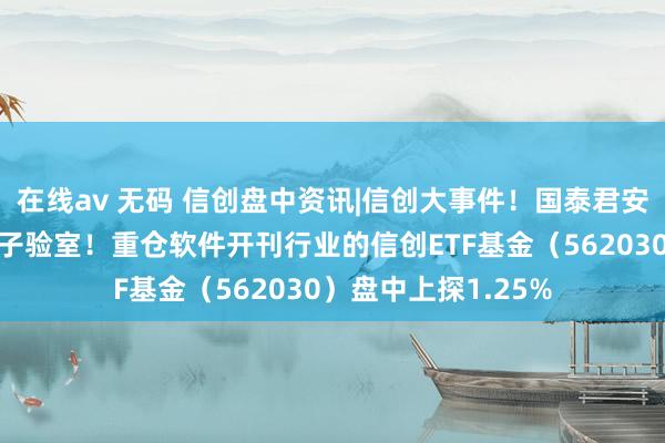 在线av 无码 信创盘中资讯|信创大事件！国泰君安和天融信设立连系子验室！重仓软件开刊行业的信创ETF基金（562030）盘中上探1.25%