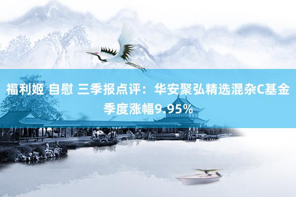 福利姬 自慰 三季报点评：华安聚弘精选混杂C基金季度涨幅9.95%