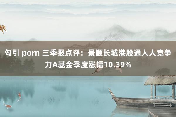勾引 porn 三季报点评：景顺长城港股通人人竞争力A基金季度涨幅10.39%