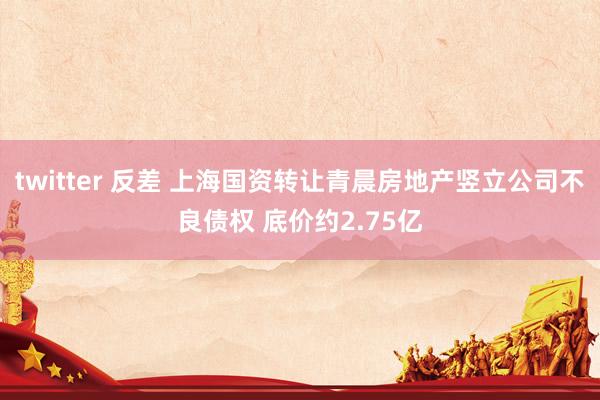 twitter 反差 上海国资转让青晨房地产竖立公司不良债权 底价约2.75亿