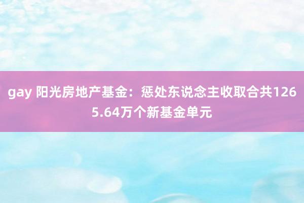 gay 阳光房地产基金：惩处东说念主收取合共1265.64万个新基金单元