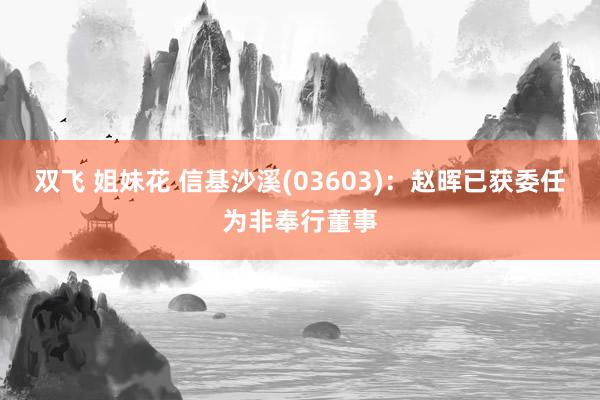 双飞 姐妹花 信基沙溪(03603)：赵晖已获委任为非奉行董事
