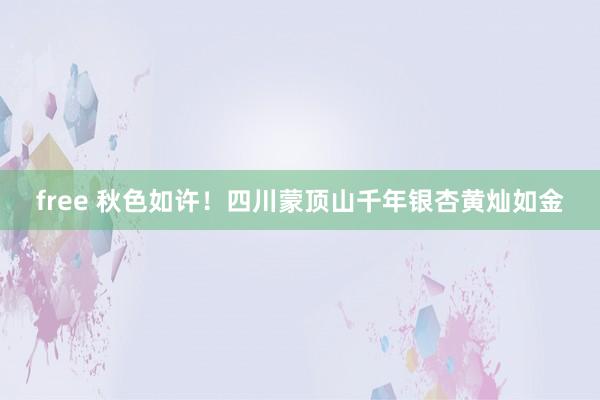 free 秋色如许！四川蒙顶山千年银杏黄灿如金