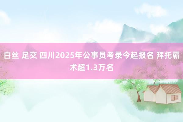 白丝 足交 四川2025年公事员考录今起报名 拜托霸术超1.3万名