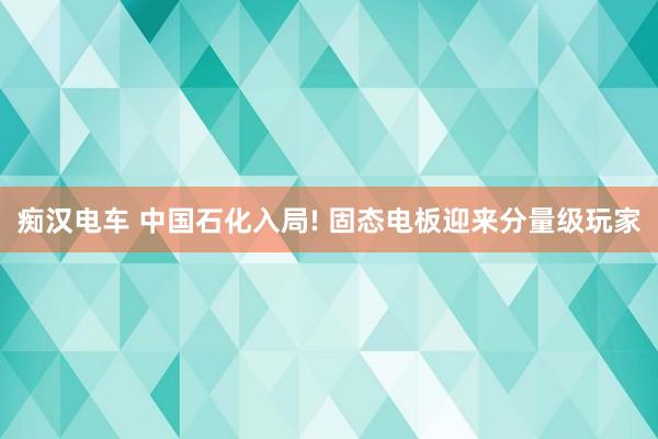 痴汉电车 中国石化入局! 固态电板迎来分量级玩家