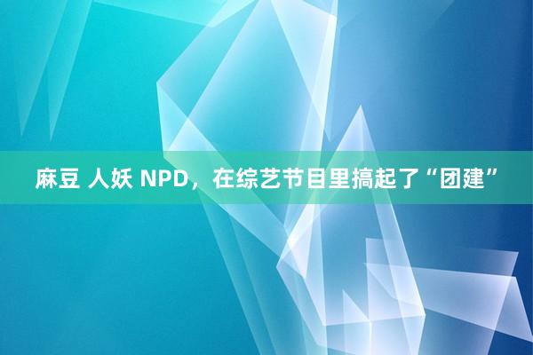 麻豆 人妖 NPD，在综艺节目里搞起了“团建”