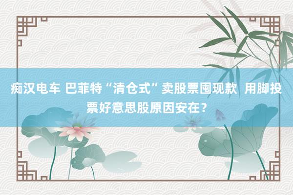 痴汉电车 巴菲特“清仓式”卖股票囤现款  用脚投票好意思股原因安在？