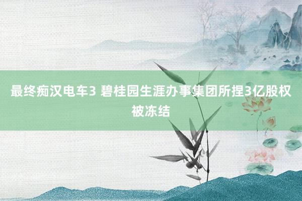 最终痴汉电车3 碧桂园生涯办事集团所捏3亿股权被冻结