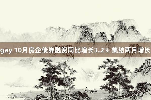 gay 10月房企债券融资同比增长3.2% 集结两月增长