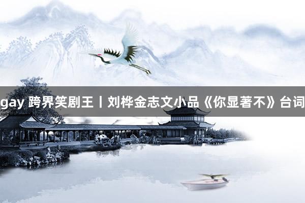 gay 跨界笑剧王丨刘桦金志文小品《你显著不》台词
