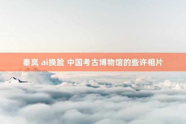 秦岚 ai换脸 中国考古博物馆的些许相片