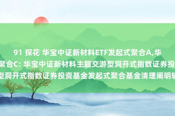 91 探花 华宝中证新材料ETF发起式聚合A，华宝中证新材料ETF发起式聚合C: 华宝中证新材料主题交游型洞开式指数证券投资基金发起式聚合基金清理阐明辅导性公告