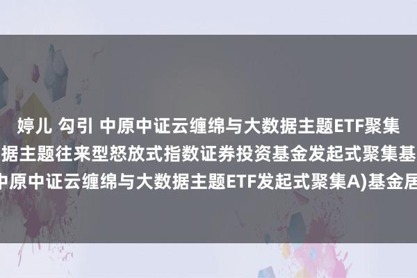 婷儿 勾引 中原中证云缠绵与大数据主题ETF聚集A: 中原中证云缠绵与大数据主题往来型怒放式指数证券投资基金发起式聚集基金(中原中证云缠绵与大数据主题ETF发起式聚集A)基金居品尊府纲目更新(2024-11-07)