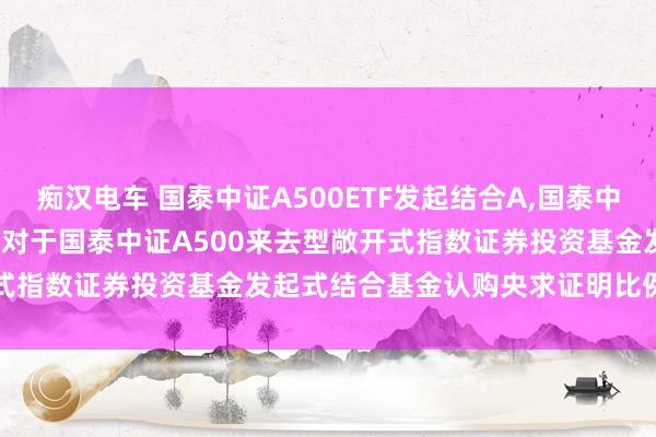 痴汉电车 国泰中证A500ETF发起结合A，国泰中证A500ETF发起结合C: 对于国泰中证A500来去型敞开式指数证券投资基金发起式结合基金认购央求证明比例成果的公告