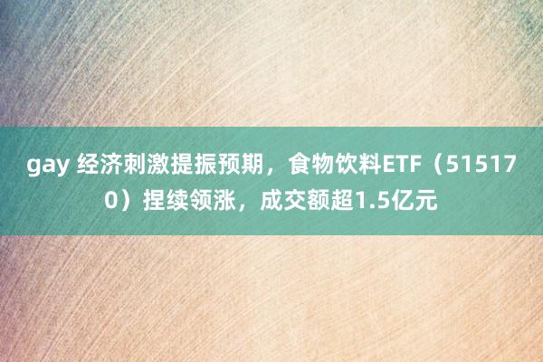 gay 经济刺激提振预期，食物饮料ETF（515170）捏续领涨，成交额超1.5亿元
