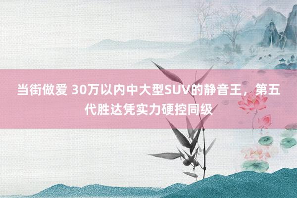 当街做爱 30万以内中大型SUV的静音王，第五代胜达凭实力硬控同级