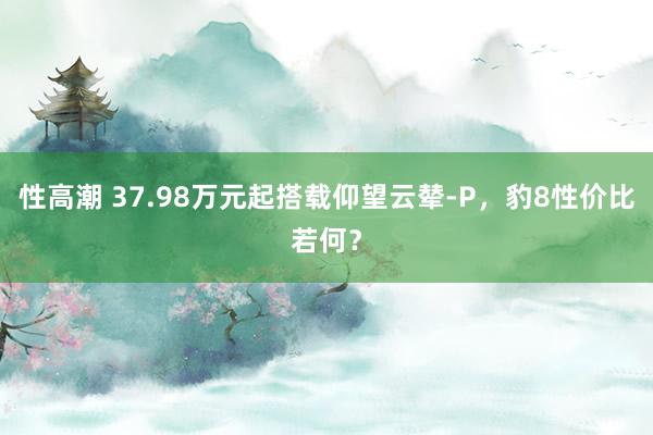 性高潮 37.98万元起搭载仰望云辇-P，豹8性价比若何？