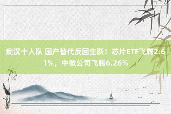 痴汉十人队 国产替代反回生跃！芯片ETF飞腾2.61%，中微公司飞腾6.26%