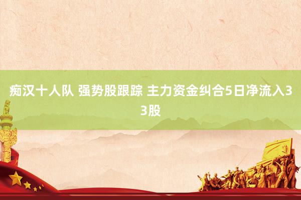 痴汉十人队 强势股跟踪 主力资金纠合5日净流入33股