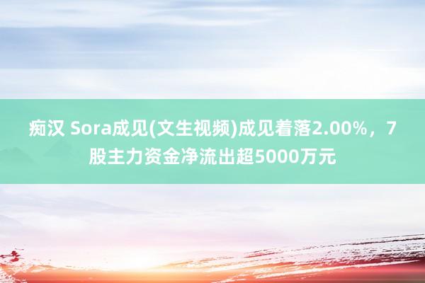 痴汉 Sora成见(文生视频)成见着落2.00%，7股主力资金净流出超5000万元