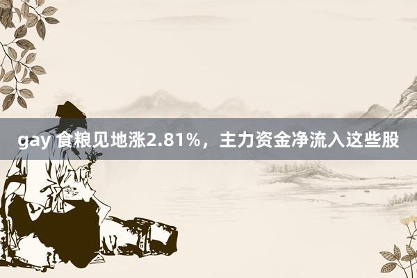 gay 食粮见地涨2.81%，主力资金净流入这些股