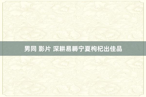 男同 影片 深耕易耨宁夏枸杞出佳品