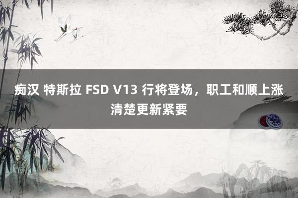 痴汉 特斯拉 FSD V13 行将登场，职工和顺上涨清楚更新紧要