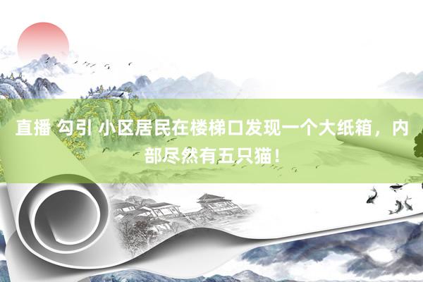 直播 勾引 小区居民在楼梯口发现一个大纸箱，内部尽然有五只猫！