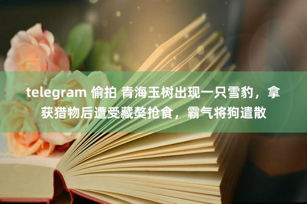 telegram 偷拍 青海玉树出现一只雪豹，拿获猎物后遭受藏獒抢食，霸气将狗遣散