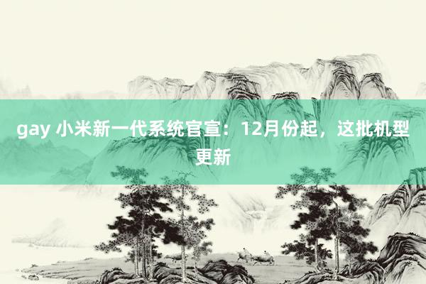 gay 小米新一代系统官宣：12月份起，这批机型更新