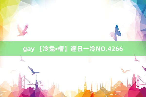 gay 【冷兔•槽】逐日一冷NO.4266