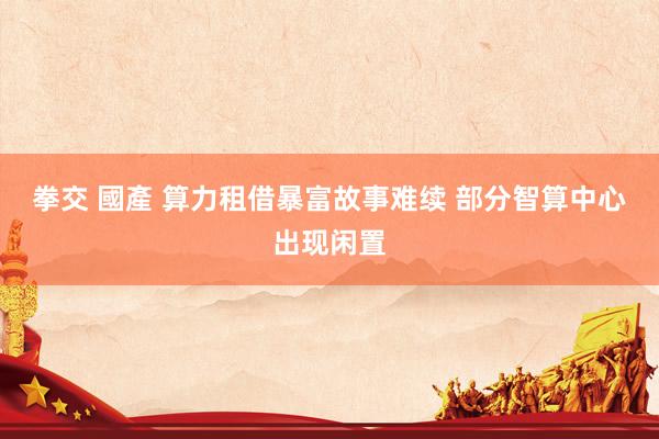 拳交 國產 算力租借暴富故事难续 部分智算中心出现闲置