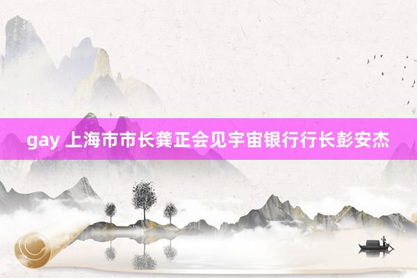 gay 上海市市长龚正会见宇宙银行行长彭安杰