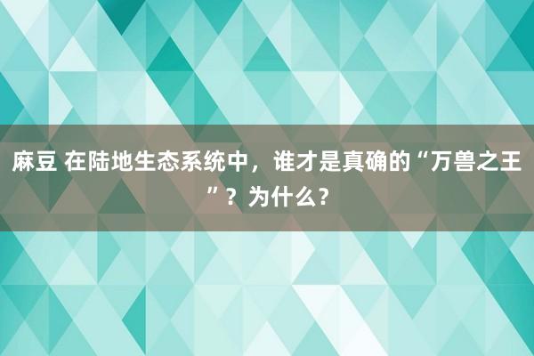麻豆 在陆地生态系统中，谁才是真确的“万兽之王”？为什么？