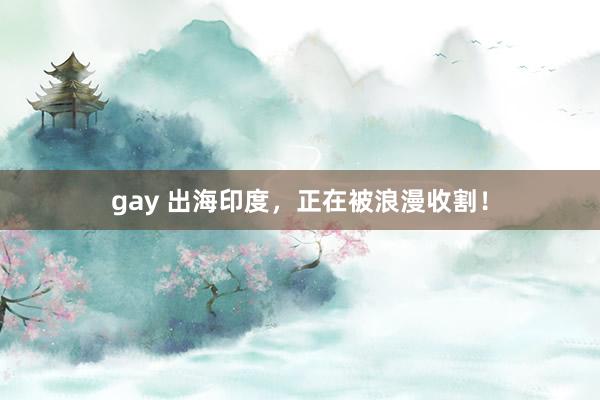 gay 出海印度，正在被浪漫收割！