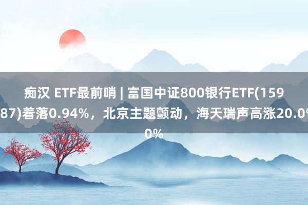 痴汉 ETF最前哨 | 富国中证800银行ETF(159887)着落0.94%，北京主题颤动，海天瑞声高涨20.0%
