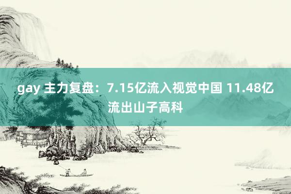 gay 主力复盘：7.15亿流入视觉中国 11.48亿流出山子高科
