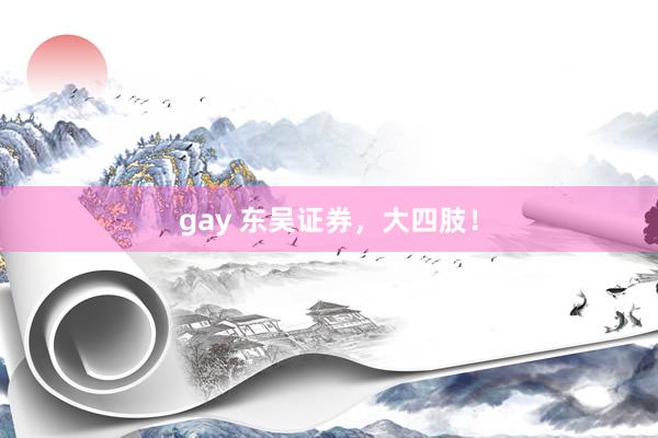 gay 东吴证券，大四肢！